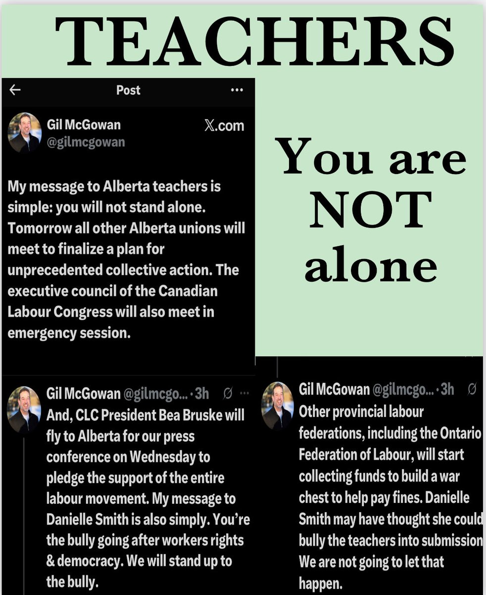 Katy E 🇨🇦🇺🇦 tweet media