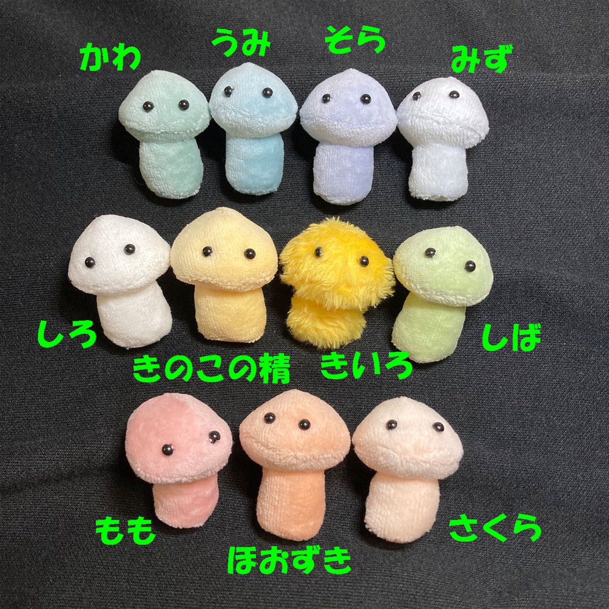 SERKIS きのこ SERKIS きのこ True Story] A Close-Up Look at Mushrooms | Shiitake