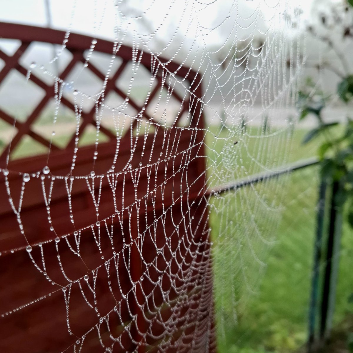 Dzień dobry! Życzę wam wszystkim dużo sił na ten wtorek ! Uśmiechajcie sie wbrew przeciwnościom! Miejcie dobry ,przemily dzień!