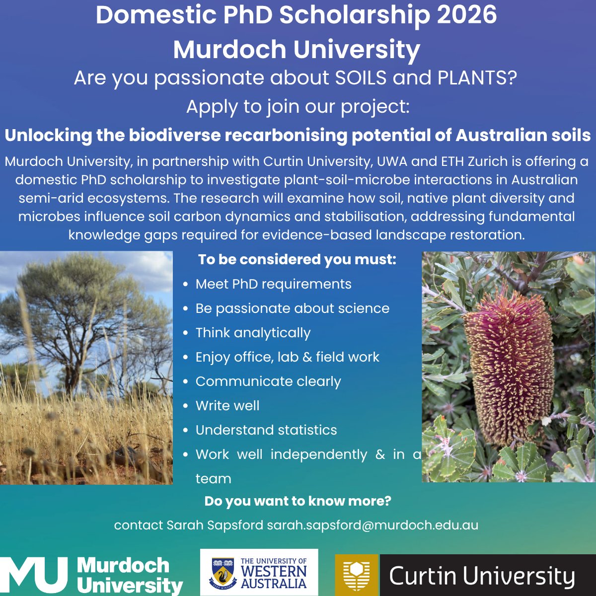.<a href="/MurdochUni/">Murdoch University</a> is offering a domestic #PhD scholarship to investigate plant-soil-microbe interactions in Australian semi-arid ecosystems. Learn more: soilswest.org.au/plant-soil-mic… <a href="/CurtinUni/">Curtin University</a> <a href="/uwanews/">UWA</a> <a href="/ETH_en/">ETH Zurich</a> #soilresearch #soilscience