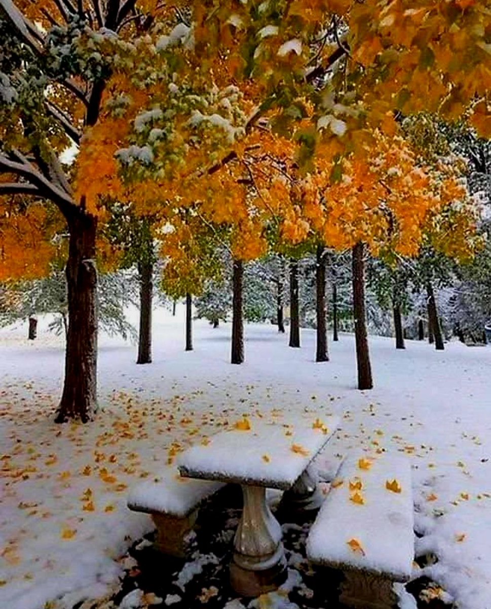 MiniatiMeri's tweet image. #buongiornooooo☕️ #Buondì 😘
#buon #martedì 🌼🤎🧡🍁🍂🌾🍂🍁🧡🏵