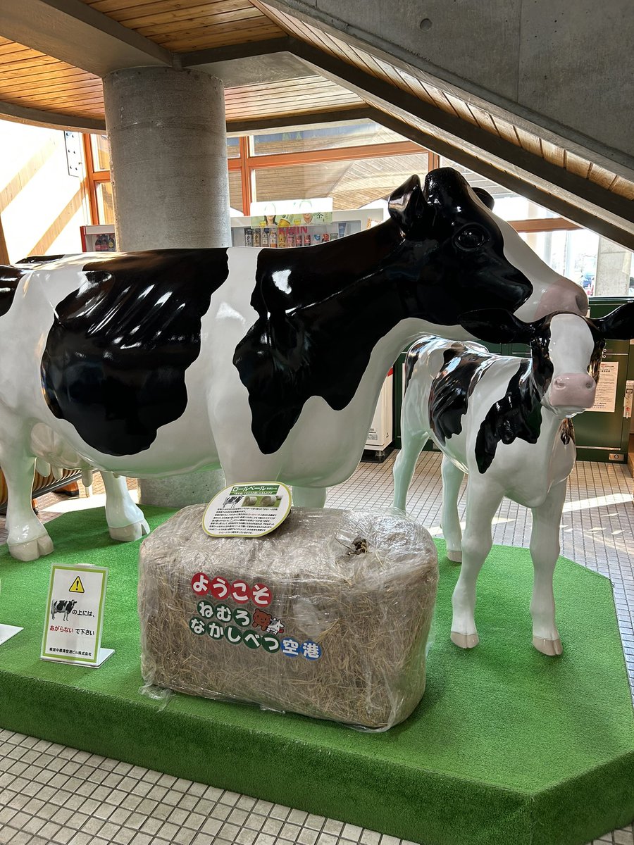 サリーちゃんページ♡⃜ Dollybird 36「be my baby! Cherry -Princess Crossing- 