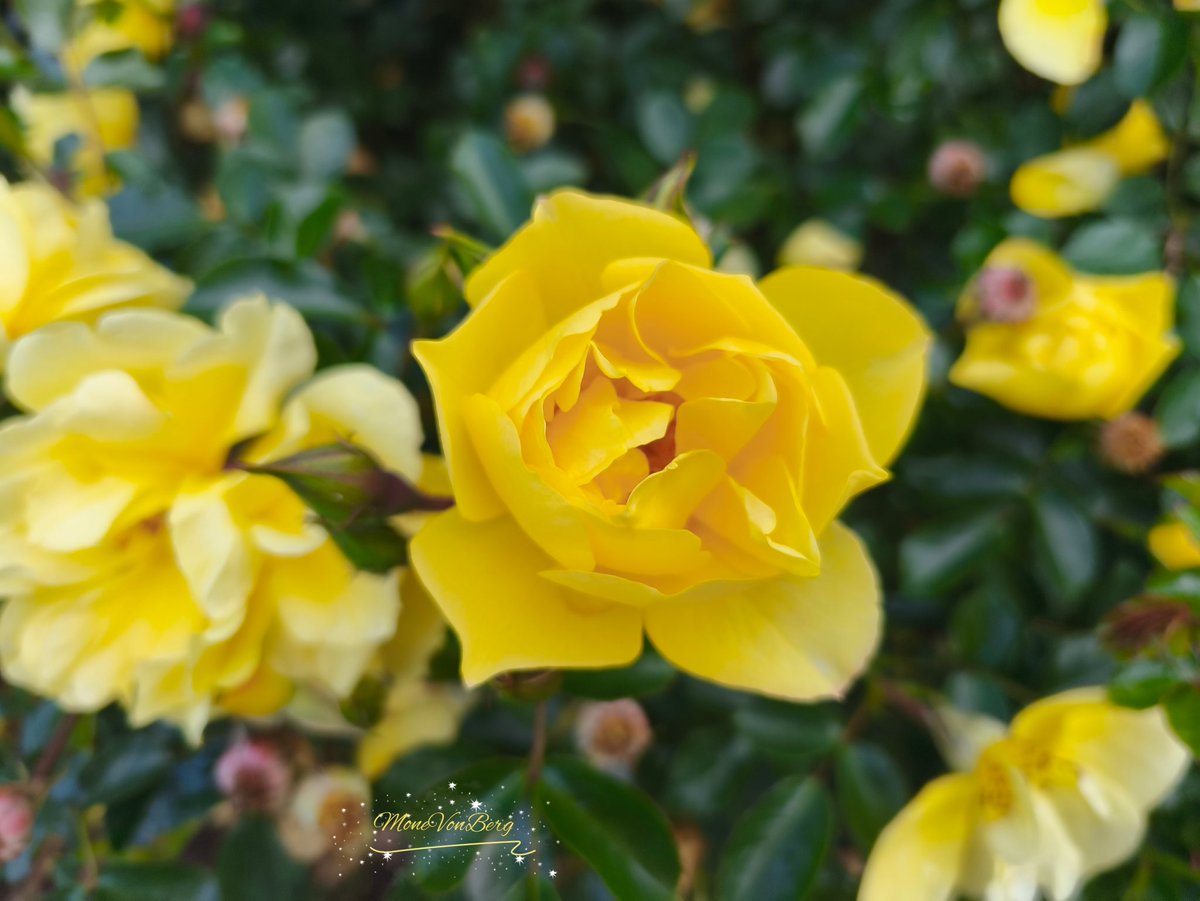 Guten Morgen ihr Lieben 💖☕🥐🍯🍊 
Habt einen angenehmen Dienstag 💛🍀

Es regnet und stürmt 🌧️🌧️🌪️