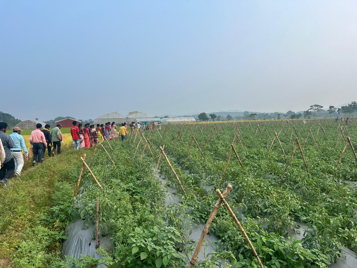 💬 “If he can do it, so can we.” 🌾

28 farmers from 11 villages joined RAF Global’s exposure visit in Potka, Jharkhand under the #LakhpatiKisan programme — learning how high-value crops, drip irrigation &amp; market linkages can turn small farms into big dreams. 🌱