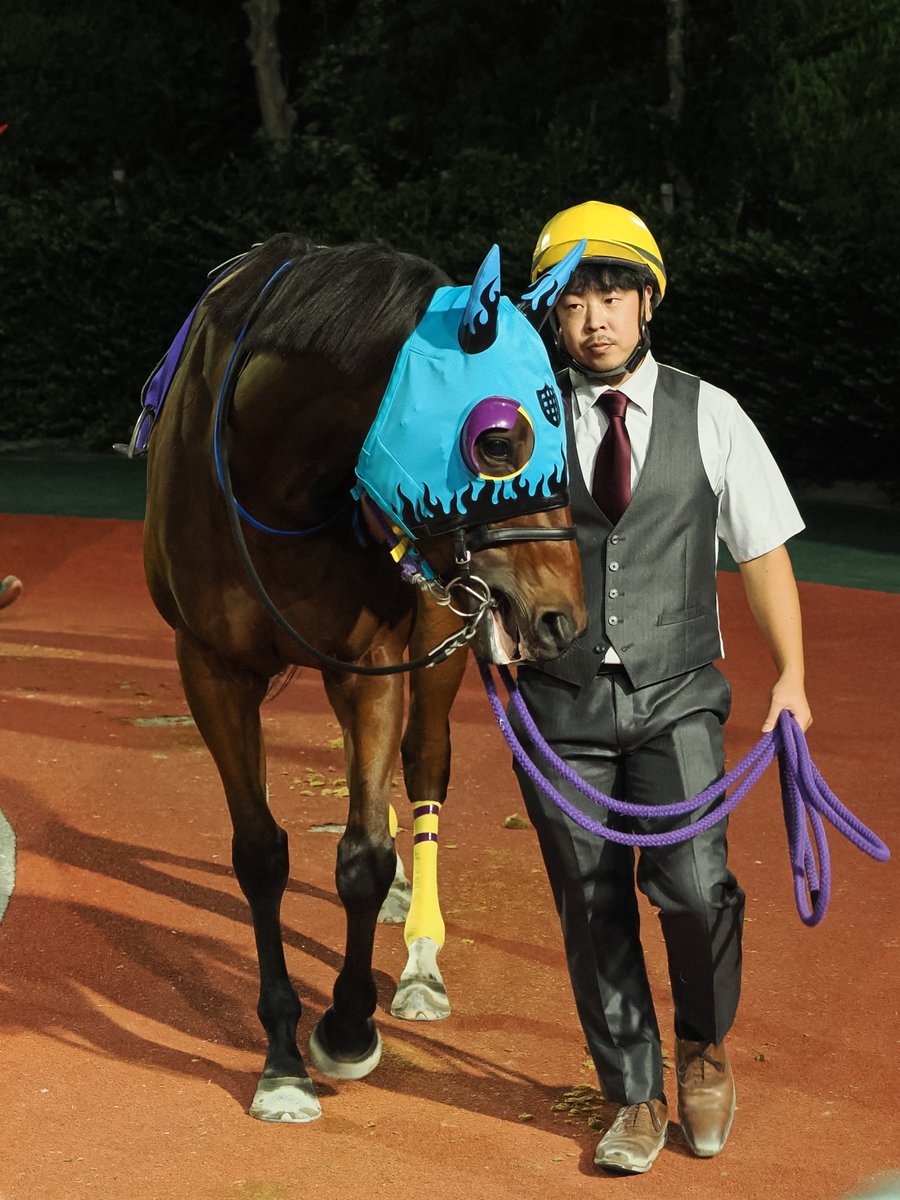 daba_sun_daba's tweet photo. パトリオットゲーム / 小松丈二 / 松島壽厩舎   
父アメリカンペイトリオット   
母カズヤラヴ (ストロングリターン)   
馬主: 上手健太郎     
生産牧場: 大狩部牧場 https://t.co/FHGYb4TPLn
