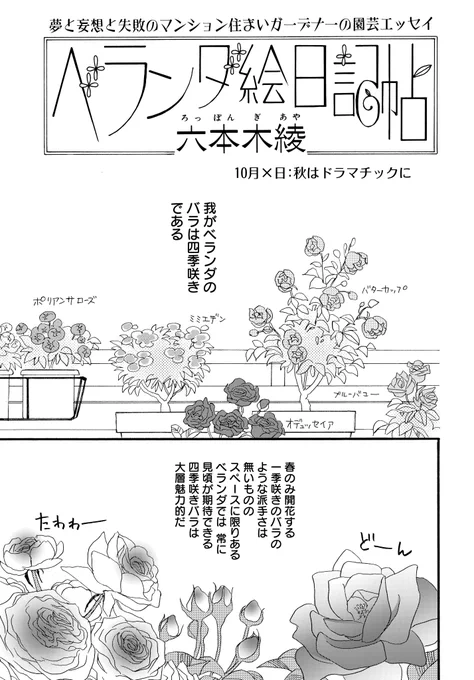 #メロディ12月号 大好評発売中
六本木綾先生「ベランダ絵日記帖」掲載✨

今回は四季咲きのバラについてお届けします! 