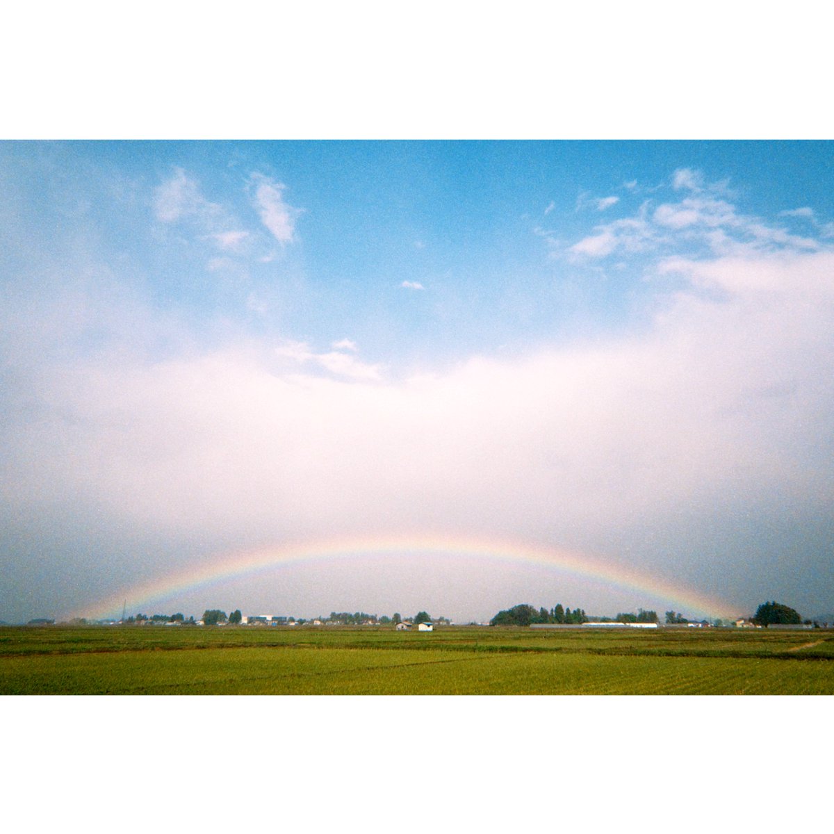 トマトヘアー (@jdrvp64ztbtt9en) on Twitter photo 