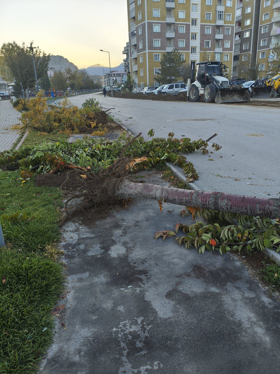 KsKLeEe_35's tweet image. Akköprü Beşyol arası derenin kenarında ki durum ağaçlardan ve yürüyüş yolundan ne istiyorsunuz  Park ile ilgili bir planınız mi vardır Bu kadar sahipsiz şehir olamaz !!!! @vanbuyuksehirbb @vanlinihathoca @Vanlife65com @zozann @AbdullahZeydan