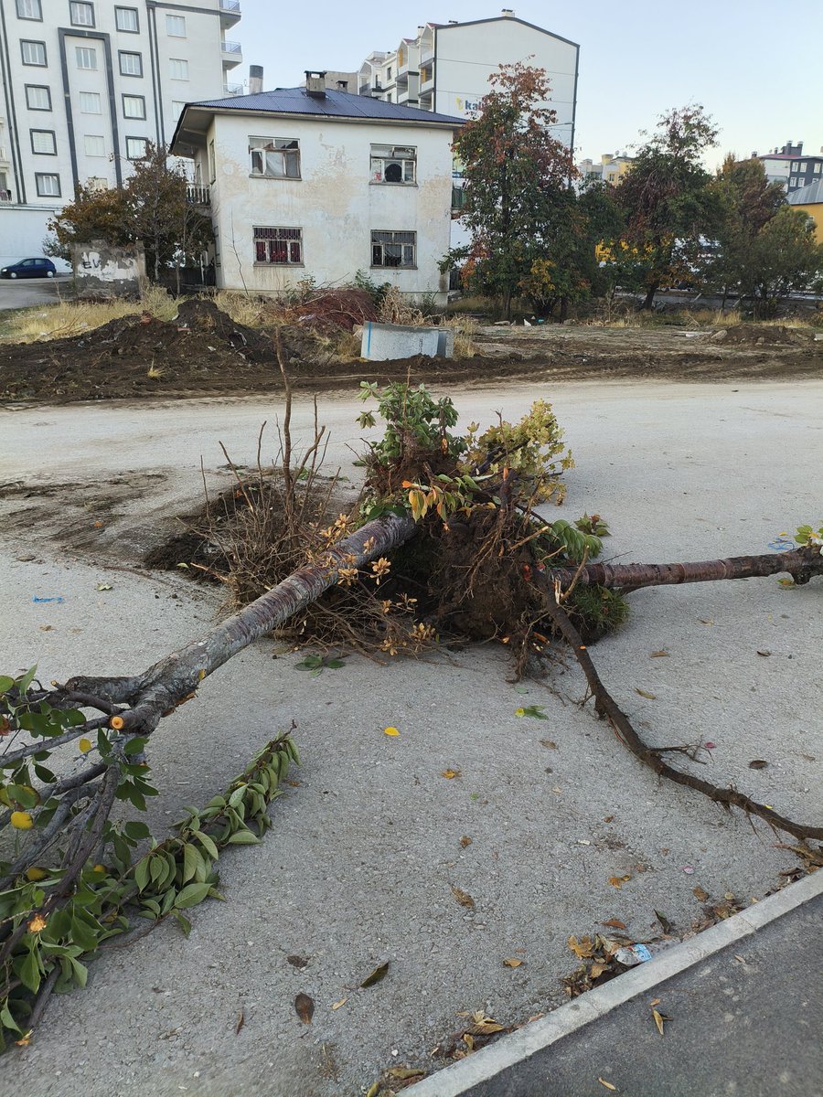 KsKLeEe_35's tweet image. Akköprü Beşyol arası derenin kenarında ki durum ağaçlardan ve yürüyüş yolundan ne istiyorsunuz  Park ile ilgili bir planınız mi vardır Bu kadar sahipsiz şehir olamaz !!!! @vanbuyuksehirbb @vanlinihathoca @Vanlife65com @zozann @AbdullahZeydan