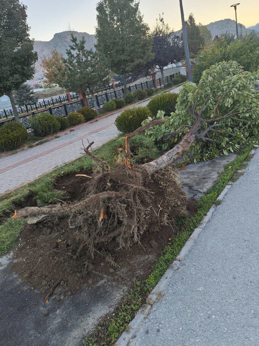 KsKLeEe_35's tweet image. Akköprü Beşyol arası derenin kenarında ki durum ağaçlardan ve yürüyüş yolundan ne istiyorsunuz  Park ile ilgili bir planınız mi vardır Bu kadar sahipsiz şehir olamaz !!!! @vanbuyuksehirbb @vanlinihathoca @Vanlife65com @zozann @AbdullahZeydan