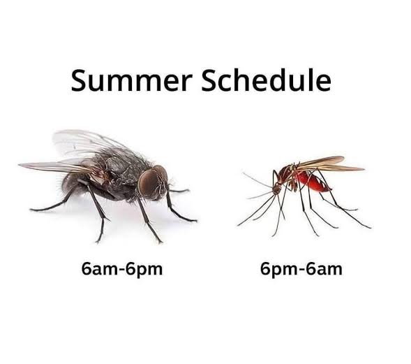 ReleGlo's tweet image. 😭😭😭😭😭 and there are people who love summer