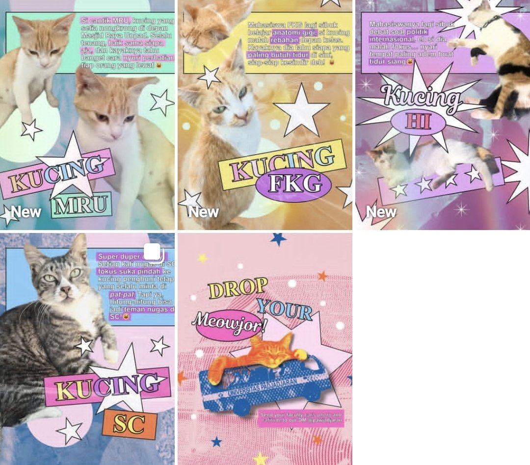 LUCU KAN???? FOLLOW GAK @pawjadjaran on insta