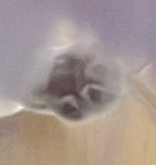 <a href="/dangmothekitty/">당고모모</a> 이것.
무엇인 가요 ?