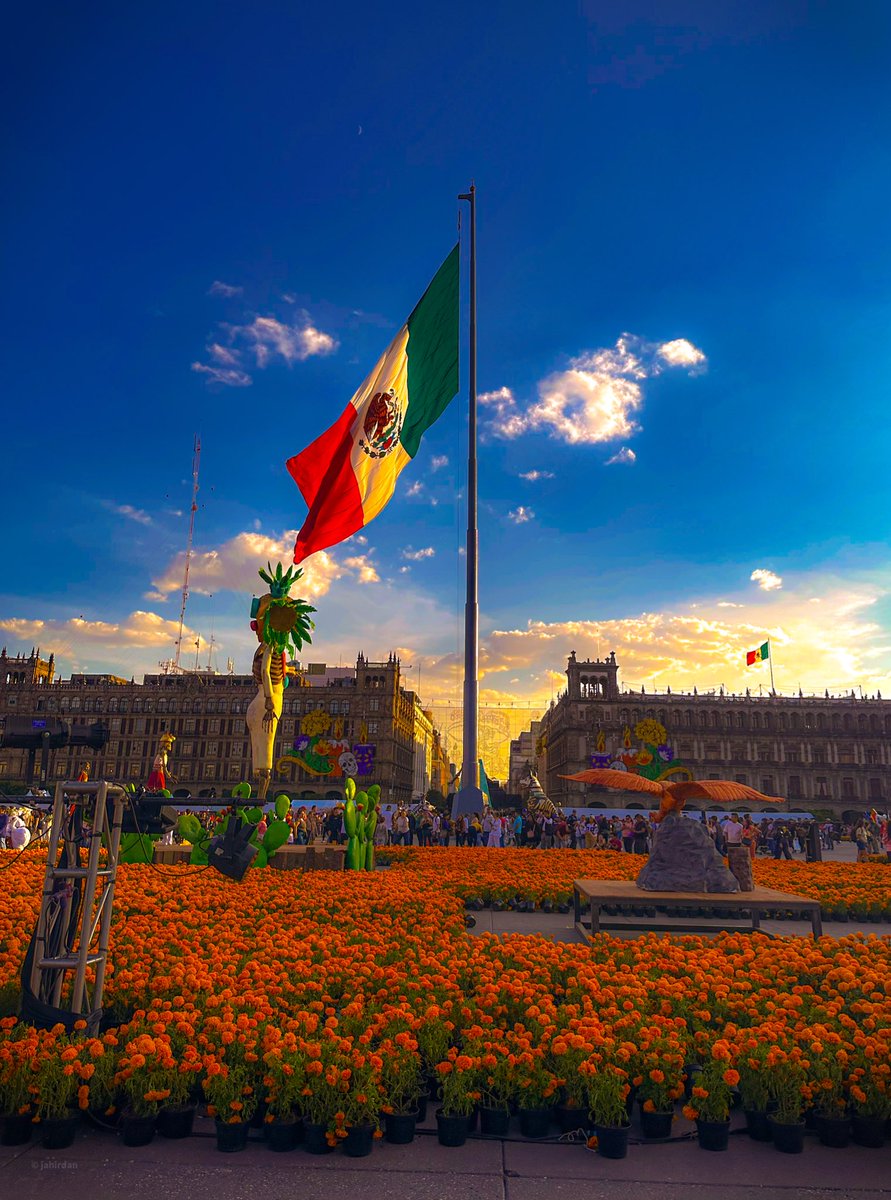 País de cempasúchil 🧡🇲🇽 #CDMX #Mexico