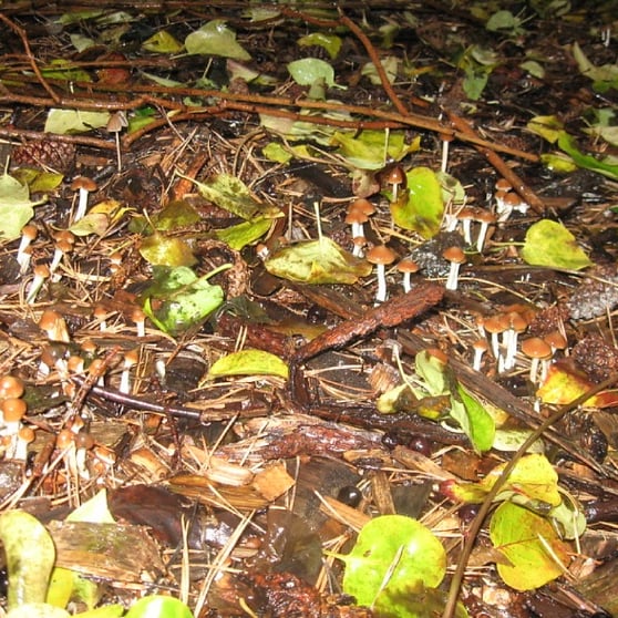 GOO GONE 🌒🌕🌘 (@tramblis) on Twitter photo 