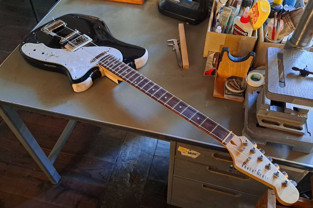 るいワールド Walz Alt | Zeque (ゼクー)