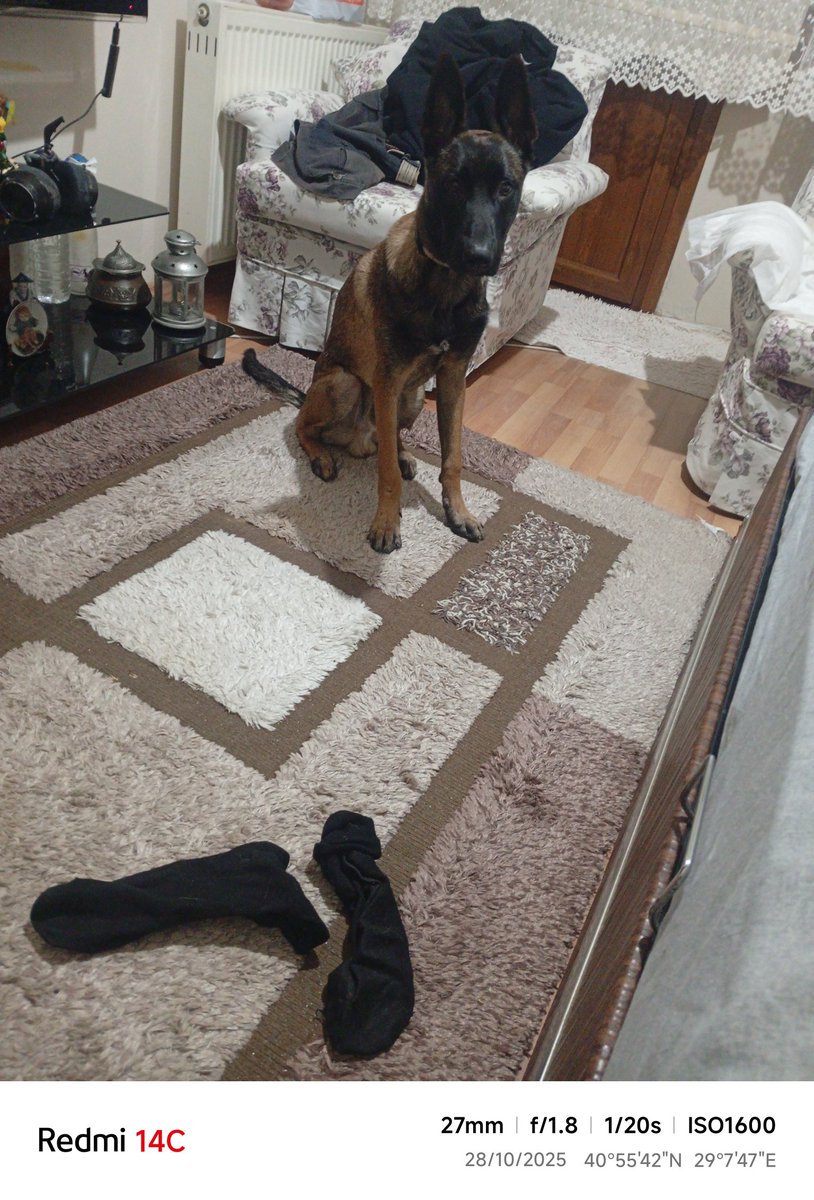 Günaydın... Yakında terlik, gazete falan da getirir...