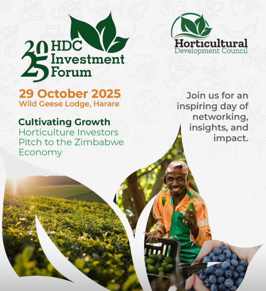 hdczim's tweet image. One more sleep! 
This year’s HDC Investment Forum brings in potential investors to pitch for opportunities in horticulture, one of Zimbabwe’s fastest growing sectors!
Can’t wait!