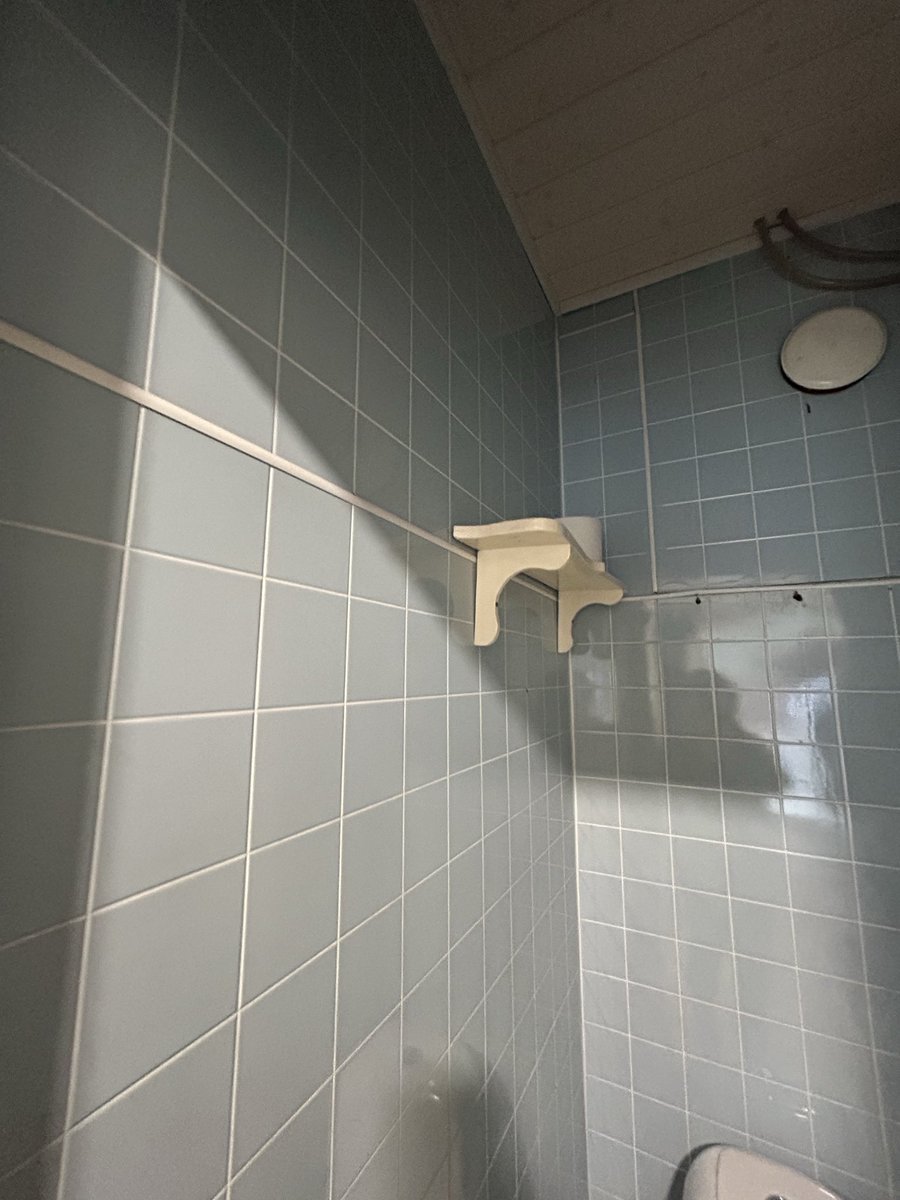 TuijaVirtanen's tweet photo. Lempeä, lumeton lokakuu > ulkohommia 💪
Eilen #raksaryhmä sisälle. Pikku-WC purkuun ja uusiksi. On ollut ilman sähköjä ja poissa käytöstä siitä asti kun tänne tulimme. Nuorenmiehen mielestä aiheuttaa itsetuhoisia ajatuksia 🫣😂
Mietin panelointia seiniin 🤔
#käenpesä #box #remppa https://t.co/5j2GVIw9j6