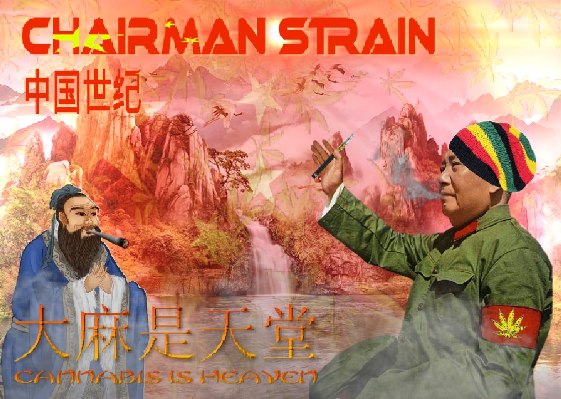 stebob4's tweet image. #CHINESECENTURY