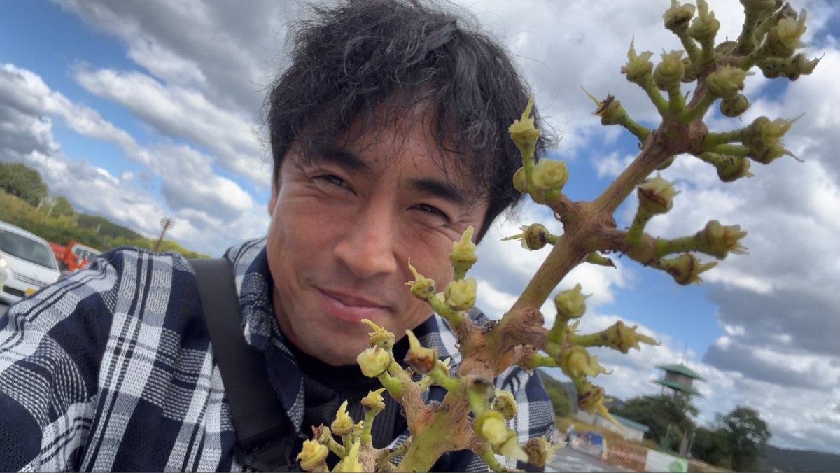 杏仁さん (@annin333333) / Posts / X