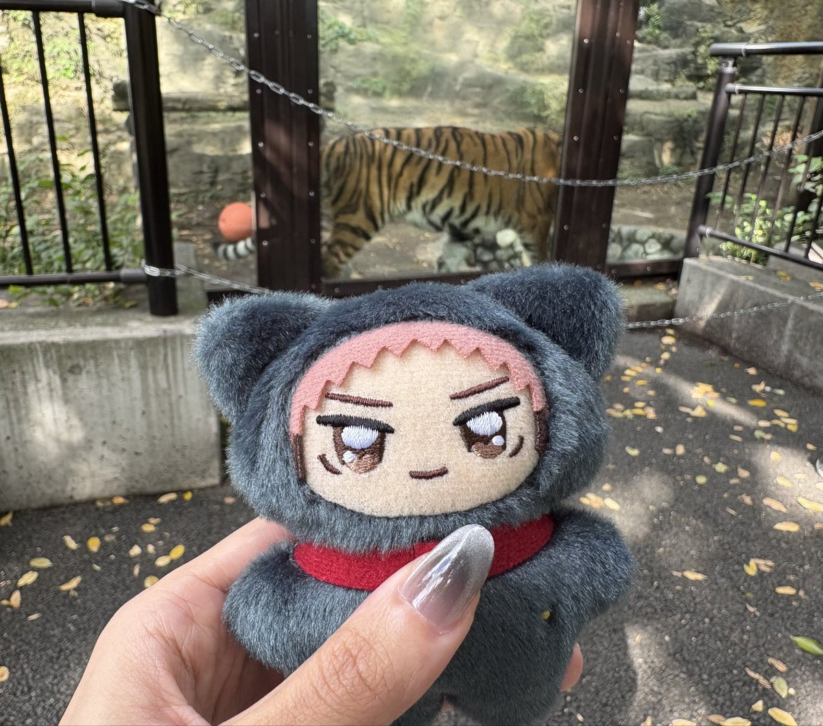 トラです🐯