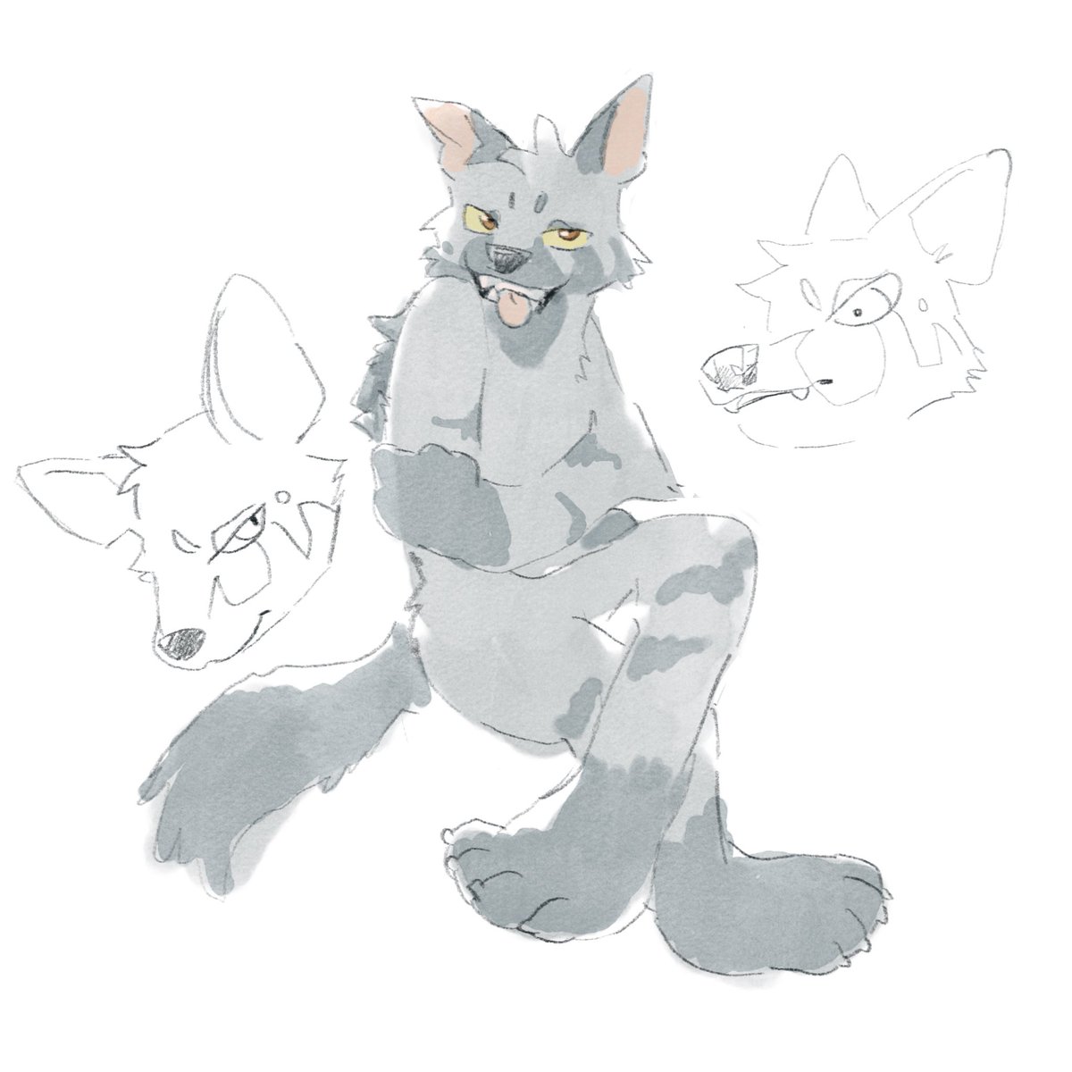 MARUSEI (@marusei__) on Twitter photo 