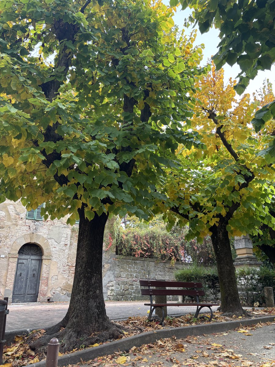 🇮🇹フィレンツェ発現地ツアーeasyfirenze on X