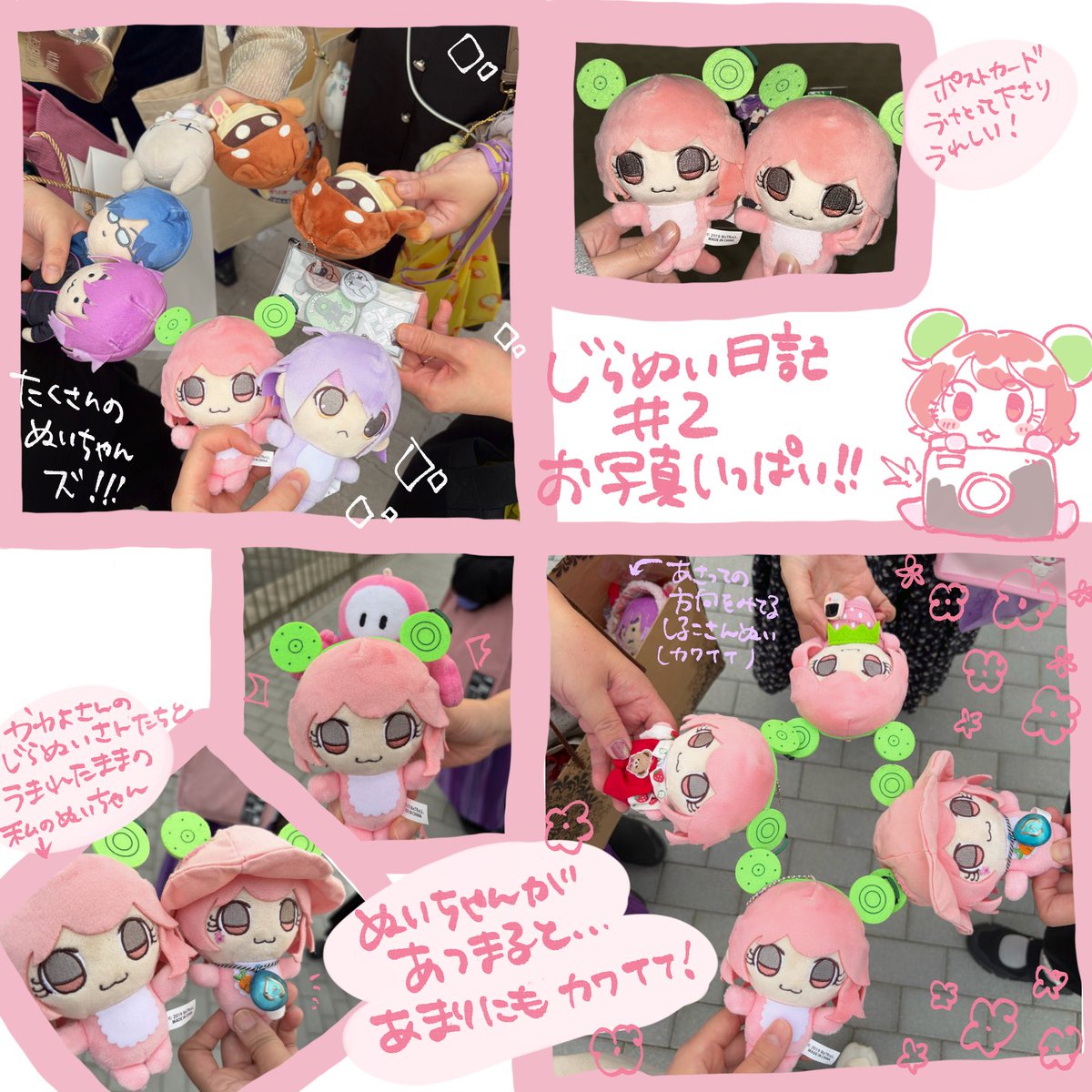 T*a様 しらたまこ　しらたま　しらたまこんぷりーと! Amazon.co.jp: しらたまこしらたまSHIRATAMACOMPLETEしらたま