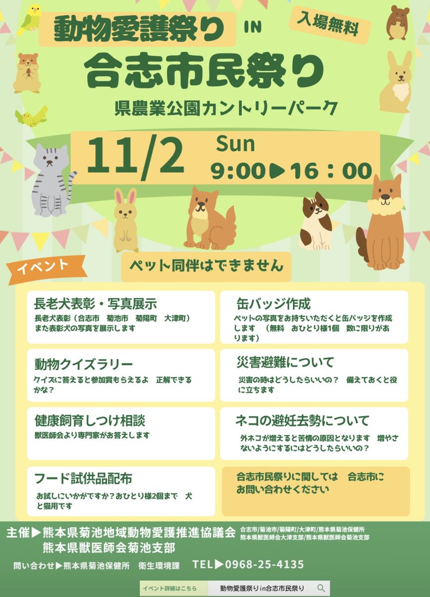 AngeliParva's tweet photo. 「にゃんだまり」より，最近臨時休業が多くて、ごめんなさい🙏でも、保護猫の琥珀君は、お店に出て１週間で素敵な家族に出会う事が出来ました。ありがとうございます。
また、来週には、合志市でお祭りが有りますので、お近くの方はお寄り下さい🥰
#合志市祭り　#にゃんだまり #保護猫 #里親募集 https://t.co/L4QMaMaqVP