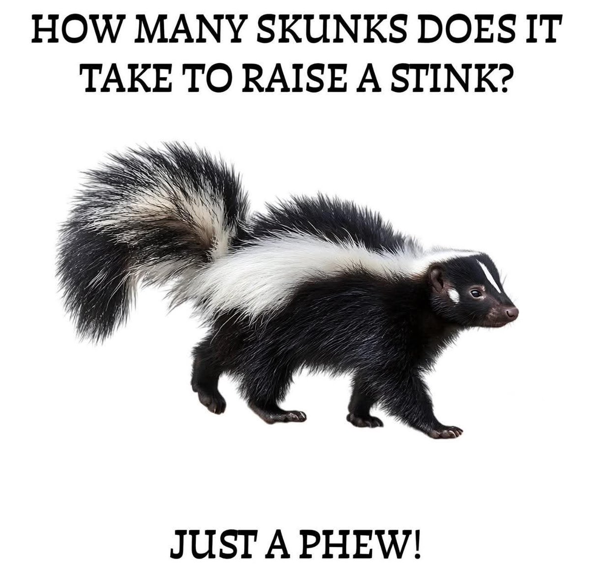 Todd Baker (@tobaker1970) on Twitter photo Too funny Too funny