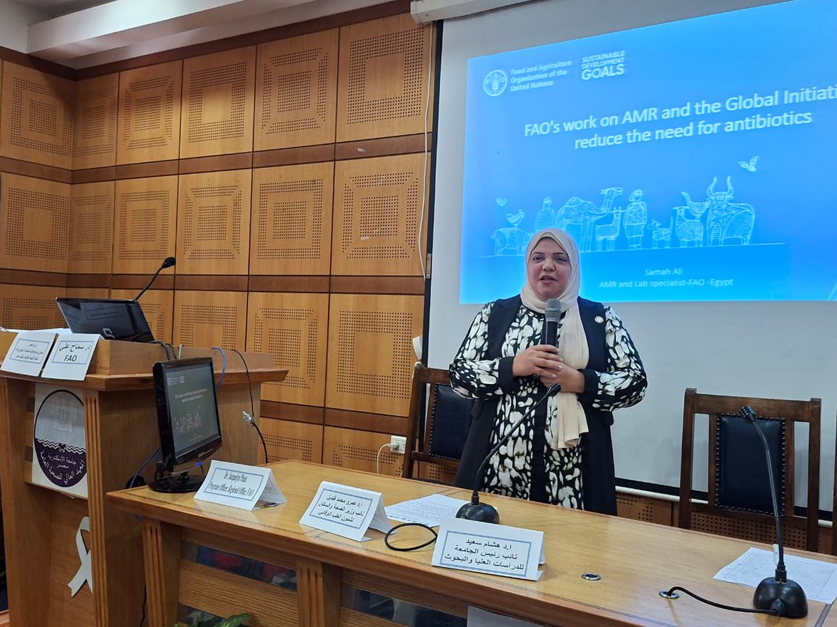 FAOEgypt's tweet photo. خلال مشاركة @FAO في ملتقى مقاومة مضادات الميكروبات💊 بجامعة الاسكندرية
📢 أكدت جاكلين بينات، ممثلة المنظمة أن كمية المضادات الحيوية المستخدمة في الزراعة وتربية الحيوانات تتراوح بين 63 و240 ألف طن سنويًا، ما يعود أثره على صحة الإنسان و ضرورة اتخاذ إجراءات للحد من الاستخدام المفرط https://t.co/dJv1x66ov5