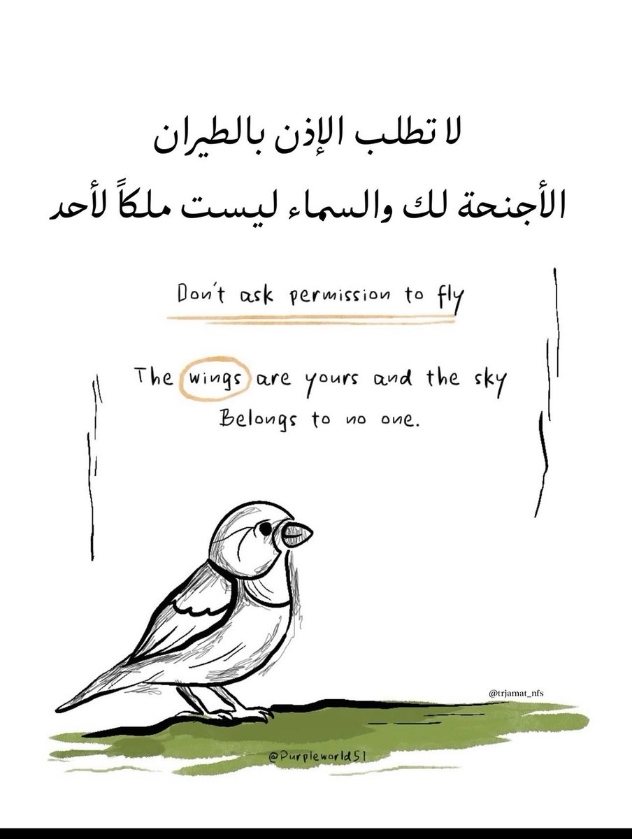 princess Hessah👸🏼 (@hhhhhhhhhhh123) on Twitter photo 