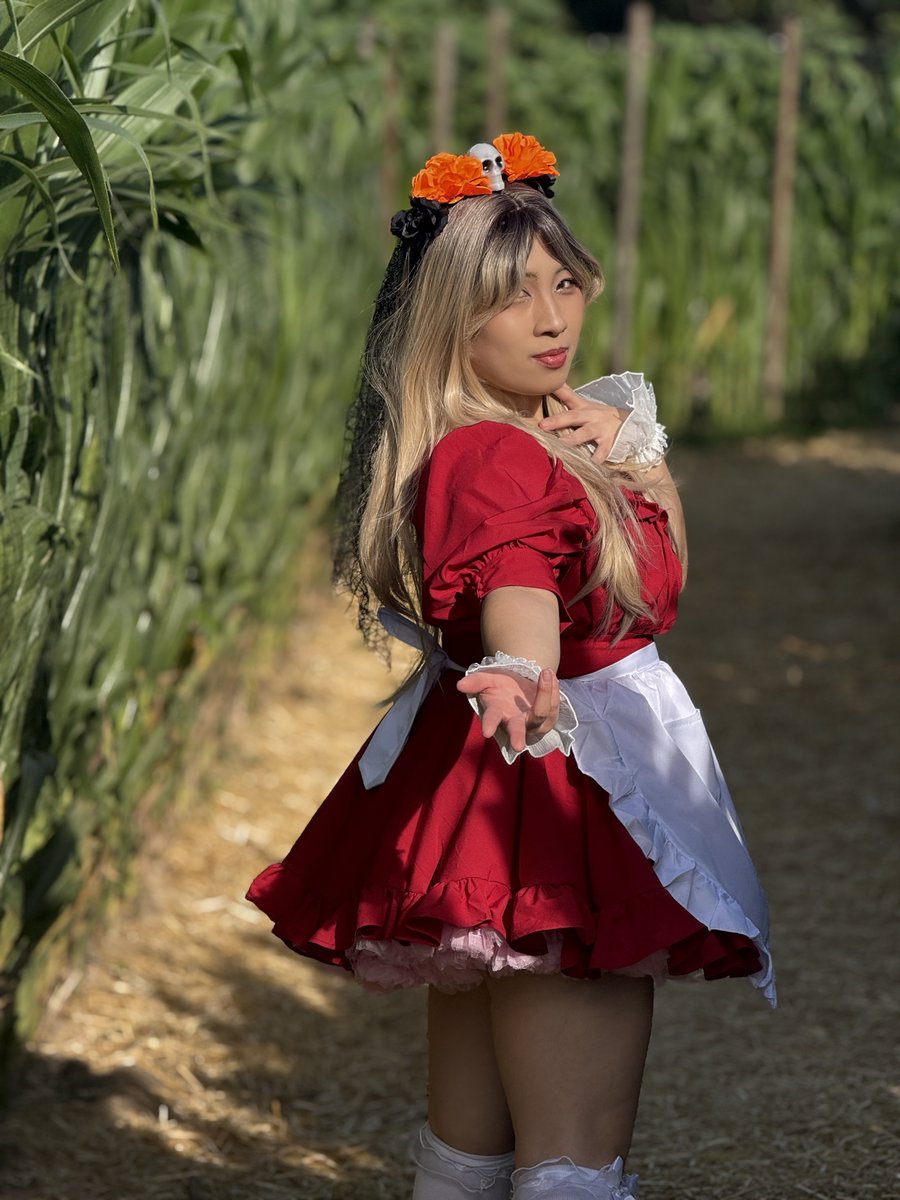 Reign Maid Cafe tweet media