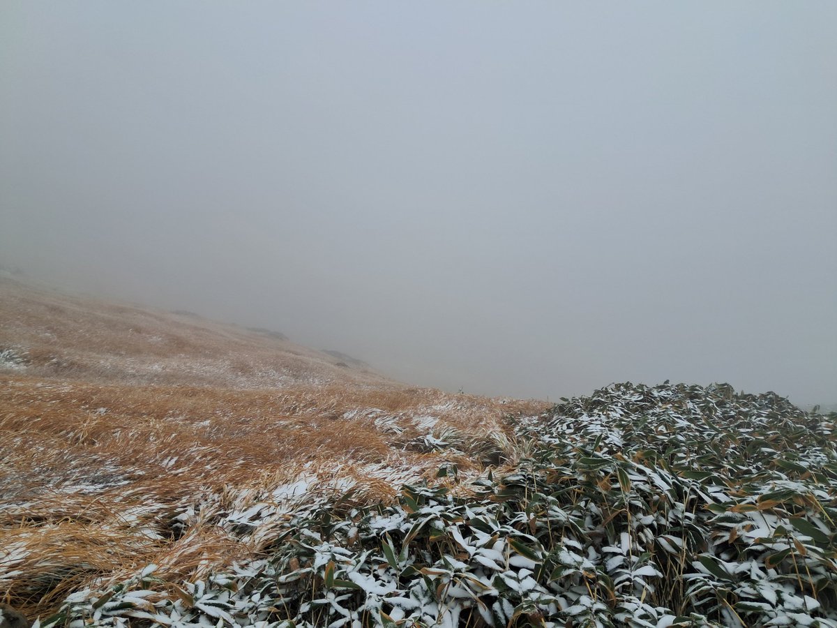 perfectliar000's tweet photo. 紅葉さん？どこに隠れているの？
どうして全部雪なの？
#谷川岳 https://t.co/d3Zq1BMMJ3