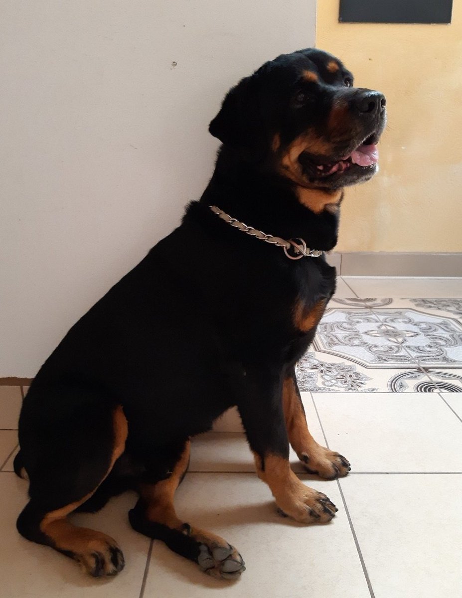 Feeelitz's tweet image. Te espero hoy, mañana, y toda la vida. Prometo recordarte hasta mi último aliento, mi Roco.