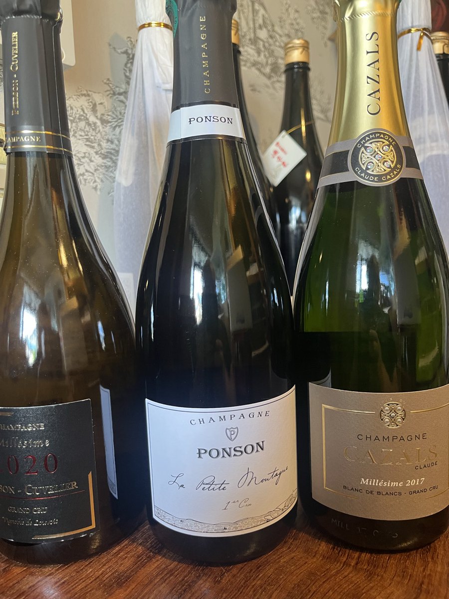 La Domenica del Coppiere - ワイン特集号 La Domenica del Coppiere - ワイン特集号