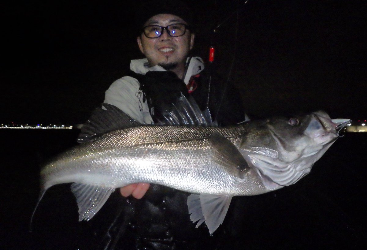 i_01222's tweet image. コノシロは沢山居るものの、シーバスは少ない印象。

横風が吹き、入れたいレンジに中々ルアーが入らない時は@popseacrew さんのBANQ120S👍

リップ付きでレンジキープもしやすい☺️

ナイスコンディションのシーバスGET🔥

#fimoフィールドテスター
#POPSEACLEW
#コノシロパターン
#東京湾奥
#BANQ120S