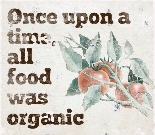 healthbot (@thehealthb0t) on Twitter photo 