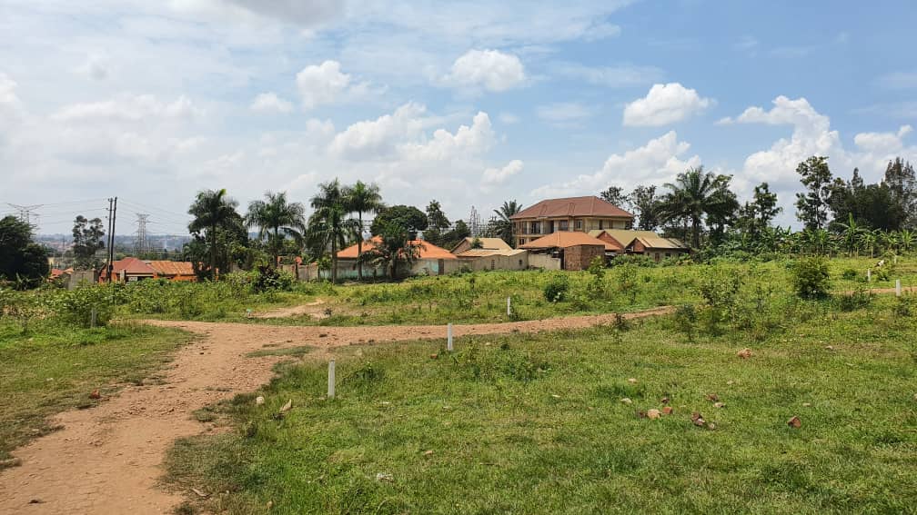 dreamhomessug's tweet photo. KawempeβKawanda Estate, Bombo Road
Prime estate plot with a ready title, easy access, and great neighborhood.
UGX 75M β secure it today!
π Call or DM now!
0753 378 572/0766203720
Sir Apollo kagwa Rd Next to dfcu Bank
#landsearching https://t.co/CT8XI8qMWW