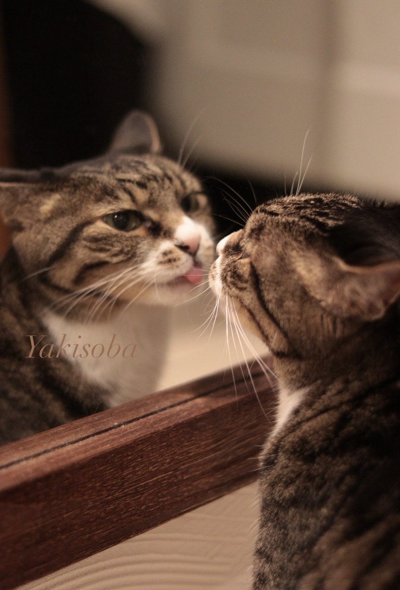 yakisoba☆。.:＊・゜ on X