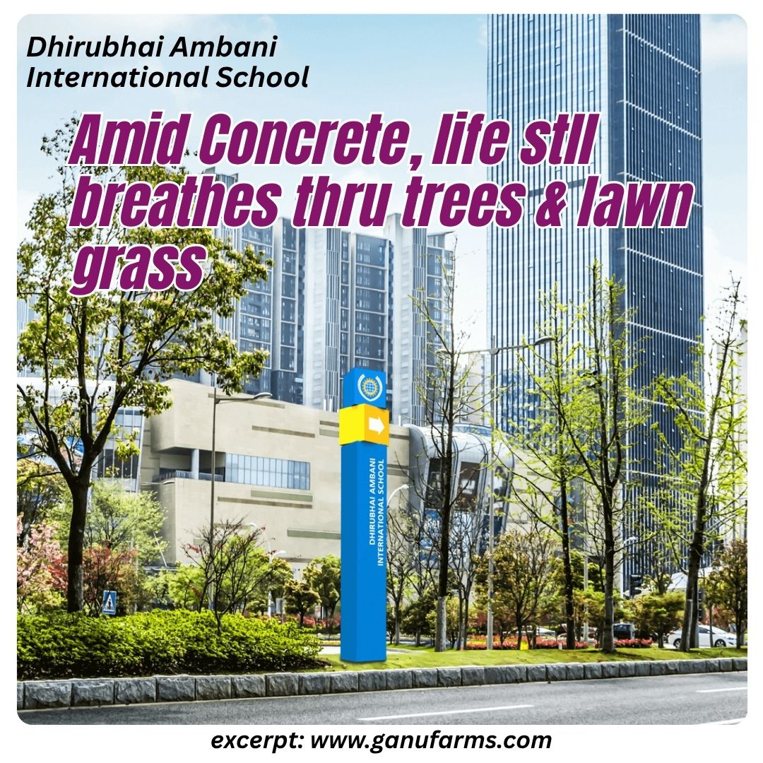 Swathi0907's tweet photo. #ganufarms #Landscaping #gardening #lawn #lawncollection #lawnservice https://t.co/pWOATy3W5m