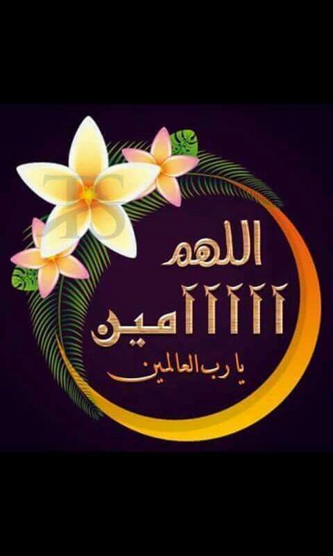 #ص͠د͠ى آ͠ل͠ذ͠گ͠ري͠آ͠ت͠ tweet media