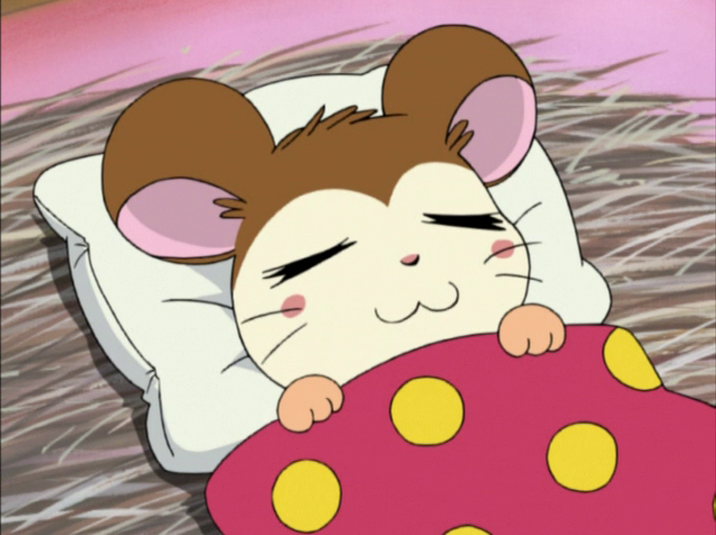Episode 245, Paradaichu 52: 
