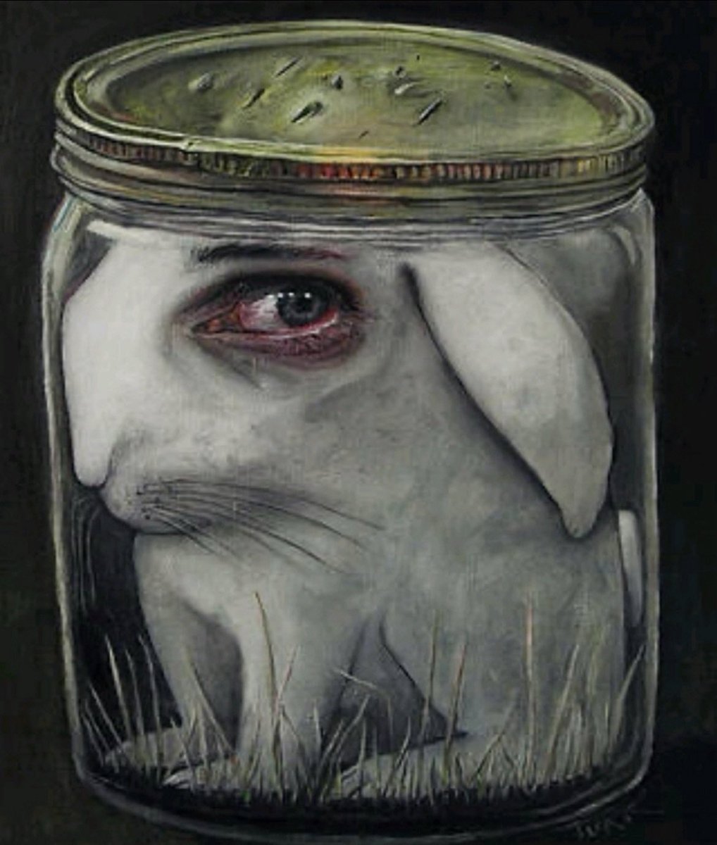 morbidwave's tweet image. This picture doesn't bring me peace at all...