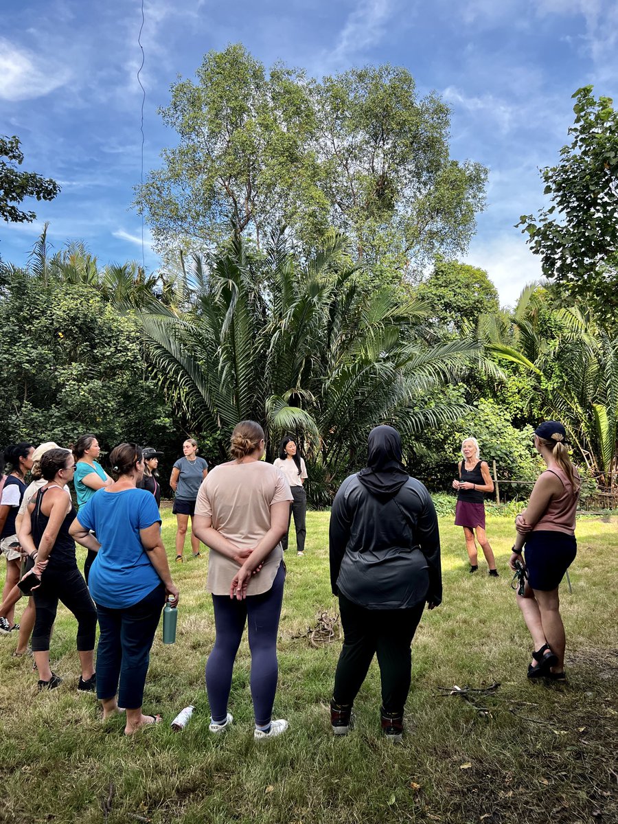 Forest Schools tweet media