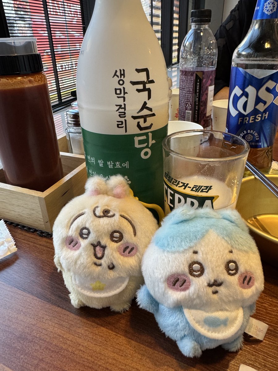 hachiware_____'s tweet photo. 赤ちゃんと韓国 https://t.co/kSXH7awuHA