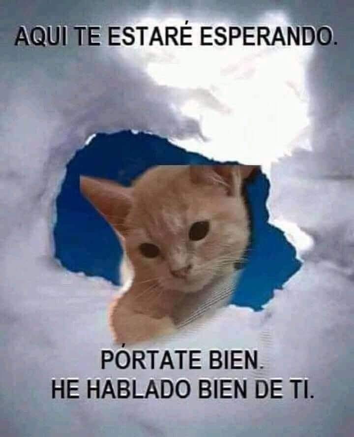 No me desecciones karen, aki teemspero