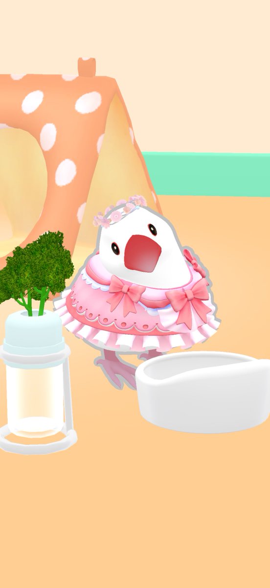 カイ 0歳0ヶ月4日
本日のベストショット📷🍀
#しあわせ文鳥LIFE #文鳥 #文鳥のいる生活