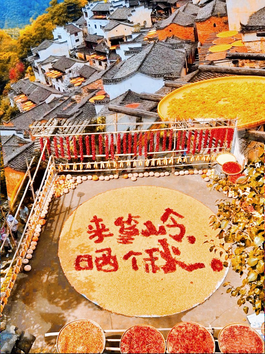 陈风铃🎐 tweet media